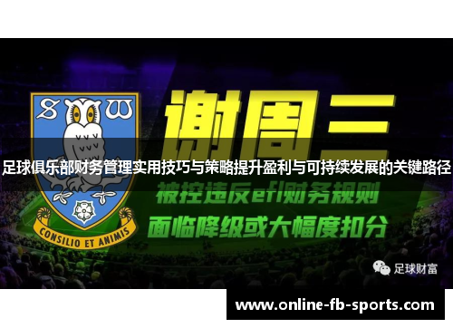 足球俱乐部财务管理实用技巧与策略提升盈利与可持续发展的关键路径