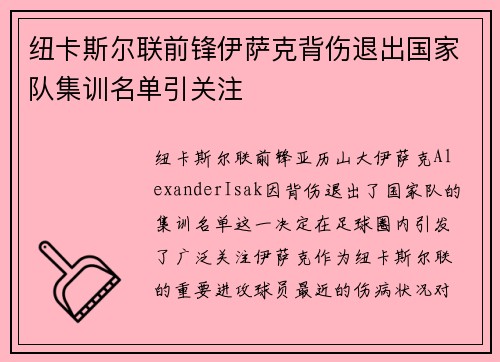 纽卡斯尔联前锋伊萨克背伤退出国家队集训名单引关注