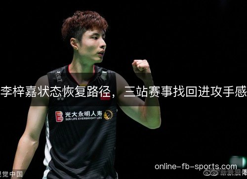 李梓嘉状态恢复路径,三站赛事找回进攻手感 李梓嘉状态恢复路径,三站赛事找回进攻手感